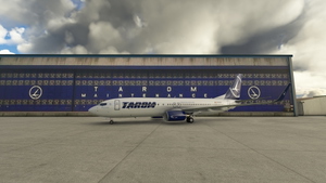 PMDG 737-800 Tarom (YR-BGJ) thumbnail 1