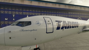 PMDG 737-800 Tarom (YR-BGJ) thumbnail 2