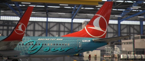 PMDG 737-800 | Turkish Airlines | TC-JHL Globally Yours
