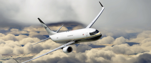 PMDG 737-800BCF Aeronaves TSM