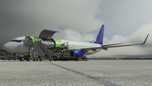 PMDG 737-800BCF AviaAM Leasing LY-FBB
