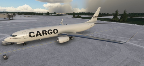 PMDG 737-800BDSF Chrono Aviation (C-GVZB)