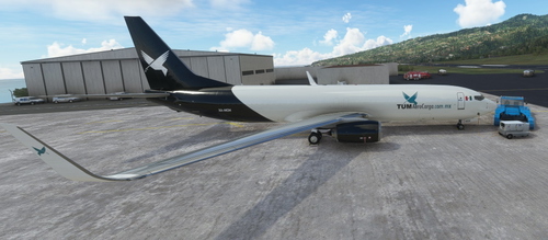 PMDG 737-800BDSF TUM AeroCarga