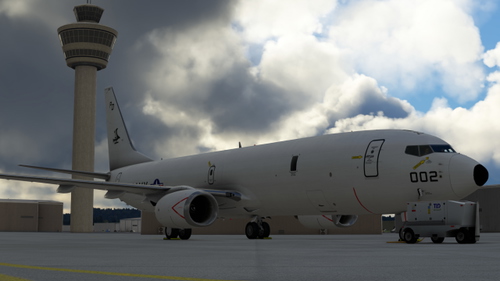 PMDG 737-800D BDSF The Golden Eagles Navy P8 (FICTIONAL)