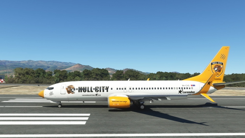 PMDG 737-800SSW /w cabin Corendon Airlines (9H-CXG) 'THE TIGERS' Hull City
