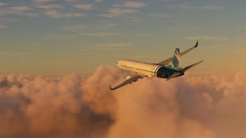 PMDG 737-900 | Arcadian Airways | Virtual Airline