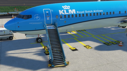 PMDG 737-900 GSX Profile