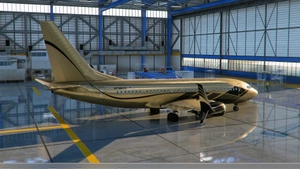 PMDG 737 BBJ Livery Pack Signature thumbnail 4