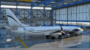 PMDG 737 BBJ2 Livery Pack Signature thumbnail 1