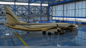 PMDG 737 BBJ2 Livery Pack Signature thumbnail 2