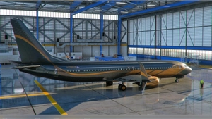 PMDG 737 BBJ2 Livery Pack Signature thumbnail 4