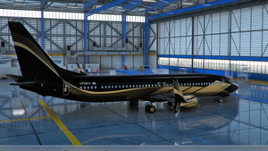 PMDG 737 BBJ2 Livery Pack Signature thumbnail 3