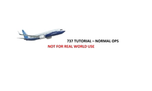 PMDG 737 / iFly 737MAX full flight + ILS approach guide checklist thumbnail 1