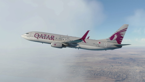 PMDG 738 SSW Qatar Airways (A7-QTR) thumbnail 2