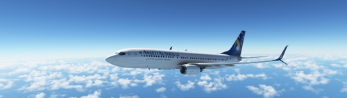 PMDG ANSETT AUSTRALIA  737-800 LIVERY