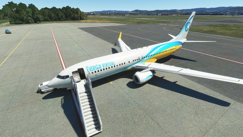 PMDG B737-800 EveryAir VA repaint