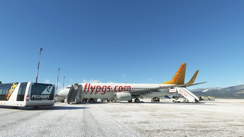 PMDG B737-800 PegasusGround Services
