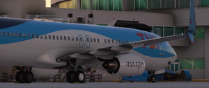PMDG B737-800SSW | TUI Airlines Netherlands PH-TFA [2021] thumbnail 7
