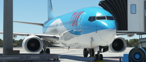 PMDG B737-800SSW | TUI Airlines Netherlands PH-TFA [2021] thumbnail 8