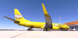 PMDG B737 MERCADO LIVRE Gol Linhas Aereas PS-GFA thumbnail 4