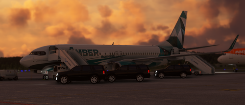 PMDG Boeing 737- 800 BBJ /  OK-SHA  / Amber Virtual Business- 4K 