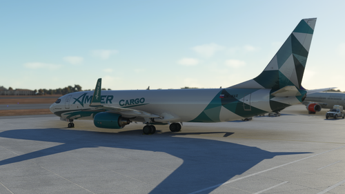 PMDG Boeing 737- 800 BCF CARGO  /  OM-MAR  / Amber Virtual Cargo 4K 