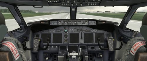 PMDG Boeing 737-800 custom views (8 wing/2 flight deck)