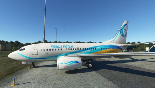 PMDG Boeing B737-600 EveryAir relaunch livery
