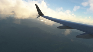 PMDG Boeing B737-800 Copa Airlines Star Alliance | 4K | Discontinued thumbnail 8