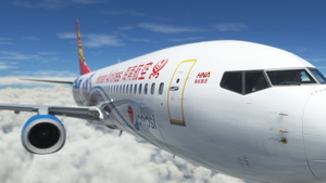 PMDG Boeing B737-800 Hainan Airlines Pepsi | 4K thumbnail 7