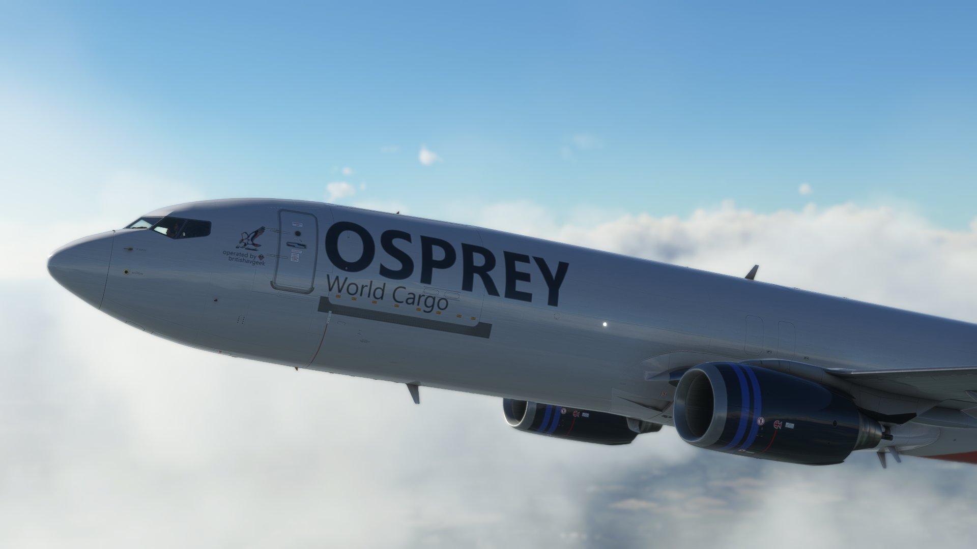 PMDG Boeing B737-800BDSF Osprey World Cargo | 4K - Image 1