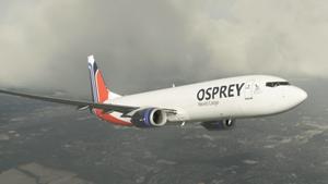 PMDG Boeing B737-800BDSF Osprey World Cargo | 4K thumbnail 4