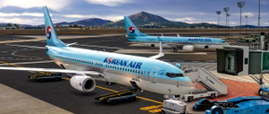 PMDG737-800 KOREAN AIR HL8240 thumbnail 8