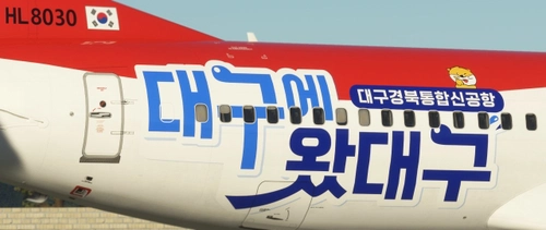 PMDG737-800 T'WAY HL8030 (DAEGU NEW AIRPORT SPECIAL-2022)