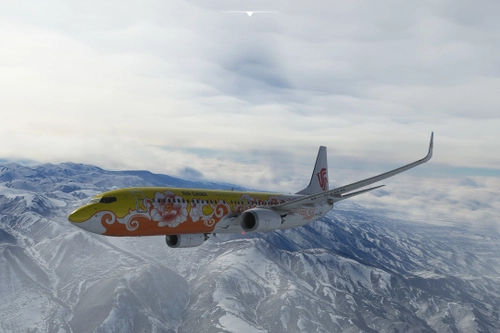 【PMDG737-800】Air China Peony B-5198