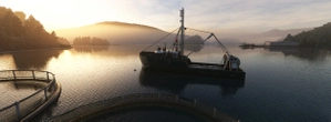 Port Harvey, British Columbia thumbnail 5