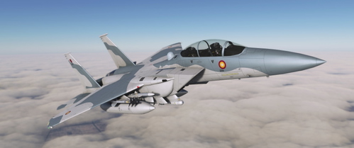 Qatar Emiri Air Force (QEAF) | F-15QA QA501