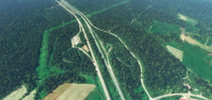 Quebec province trees corrections (WIP) thumbnail 2