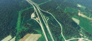 Quebec province trees corrections (WIP) thumbnail 1