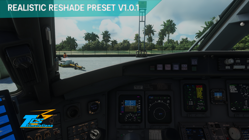 Realistic Reshade Preset by TCS_Simulations