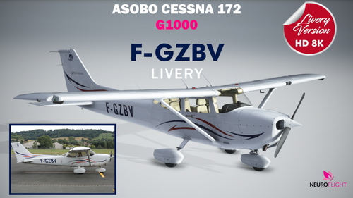 Registration F-GZBV livery for Asobo Cessna 172 G1000. 8K [by request]