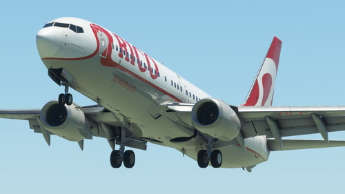 Rico 737-800 PR-RLF PMDG