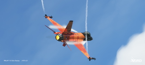 RNLAF F-16 Demoteam 2009-2013 "Orange Lion" thumbnail 14
