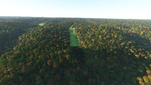Rogers International Airstrip