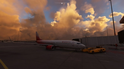 Rossiya livery for PMDG 737-800