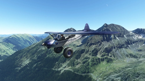 Savage Cub / Savage Carbon / Savage Grravel VirtualFlight.Online Livery Pack