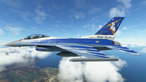 SC Designs F-16 USAF 309th  FS - Wild Ducks