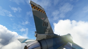 SC Designs F-16 USAF 64th AGRS - Gomers thumbnail 11