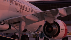 Scandinavian Airlines 'Star Alliance' [4K] LN-RRE - PMDG 737-800 thumbnail 5