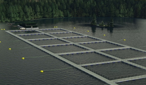 Seaplane Asset Library thumbnail 3